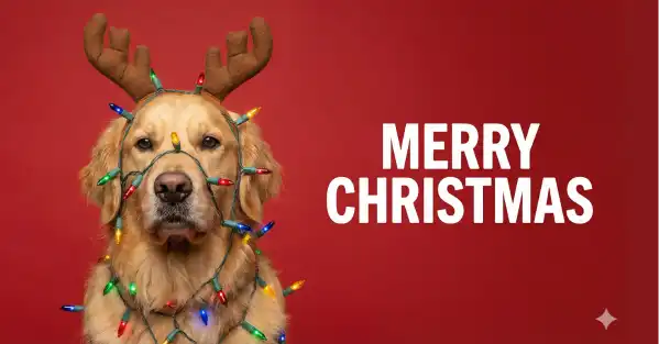 gemini christmas cards prompts