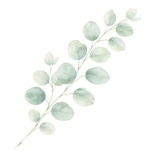 Create a delicate watercolor painting of a single eucalyptus branch with soft sage green and muted blue-green leaves on a clean white background. The branch extends from the lower left corner diagonally toward the upper right, with smaller stems branching off naturally. The watercolor technique shows subtle color variations within each leaf, soft edges where the paint bleeds slightly, and gentle translucency. The style is elegant, airy, and minimal with plenty of white space. No text, no frame. Designed as a printable botanical wall art piece. Use aspect ratio 1:1.