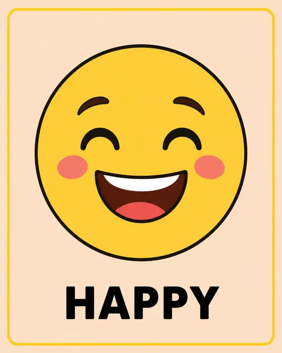 9. Emotion Flashcard